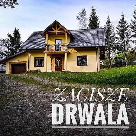 Zacisze Drwala Guest House Lutowiska Exterior foto