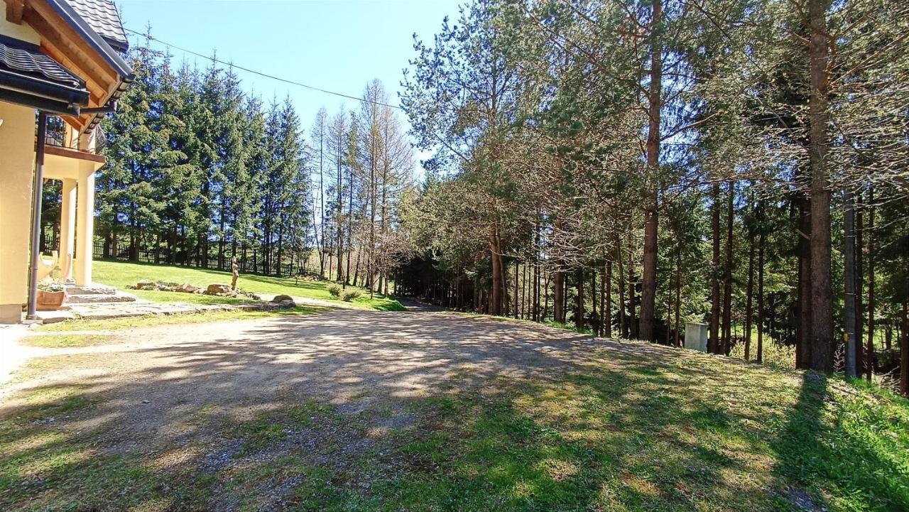 Zacisze Drwala Guest House Lutowiska Exterior foto