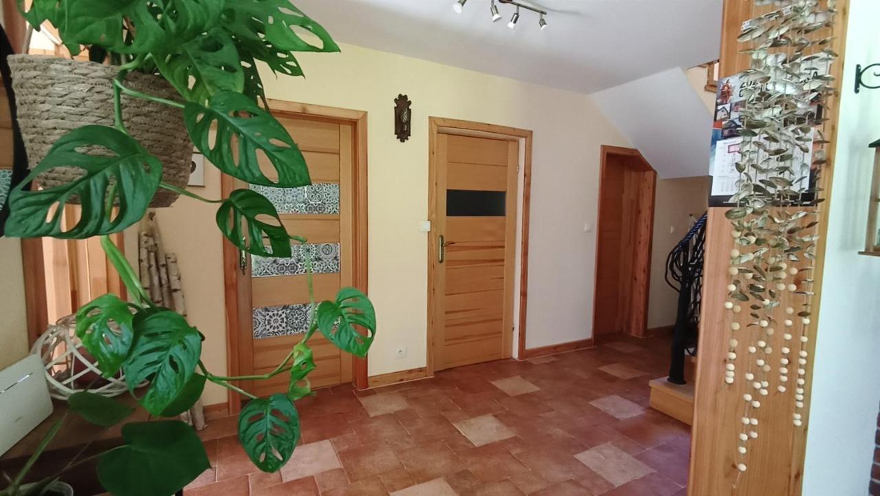 Zacisze Drwala Guest House Lutowiska Exterior foto