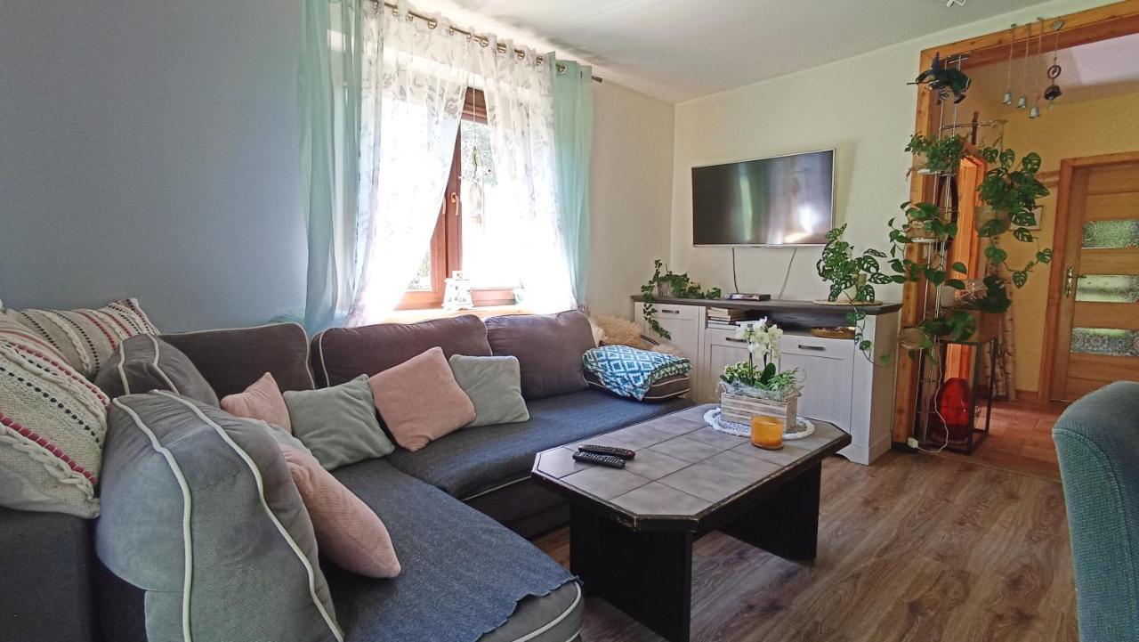 Zacisze Drwala Guest House Lutowiska Exterior foto