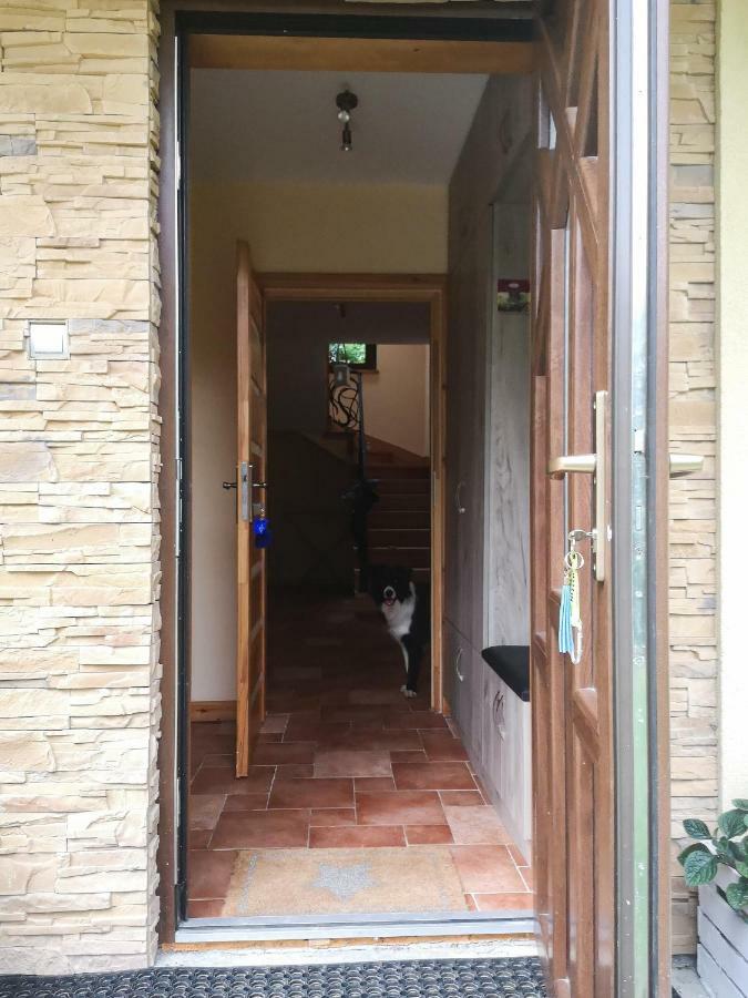 Zacisze Drwala Guest House Lutowiska Exterior foto