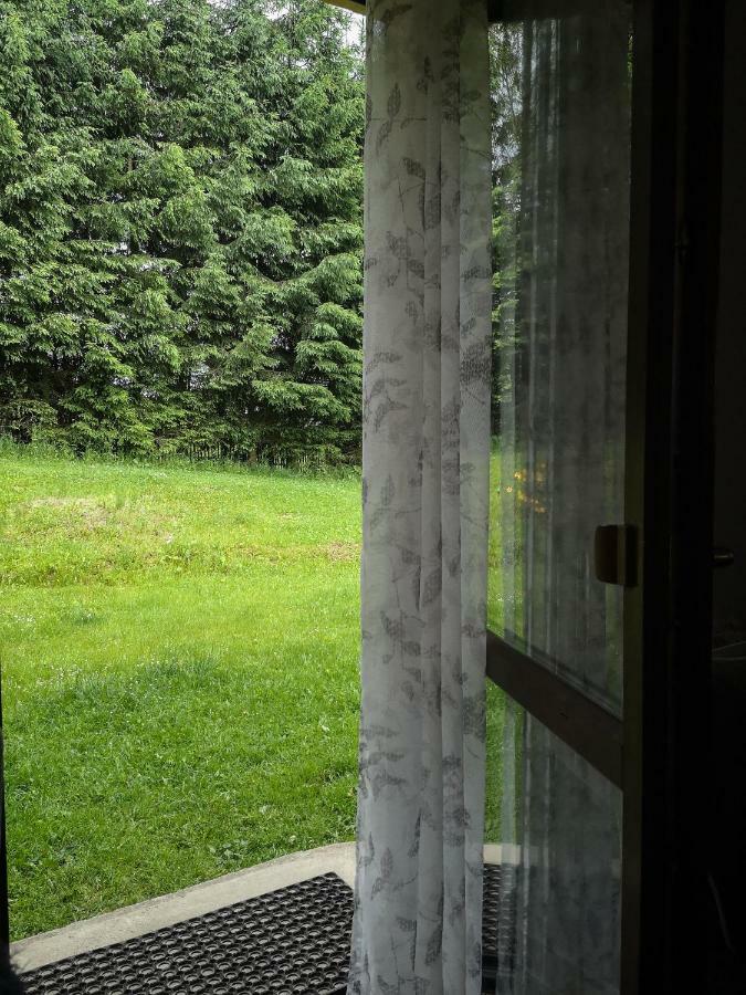 Zacisze Drwala Guest House Lutowiska Exterior foto
